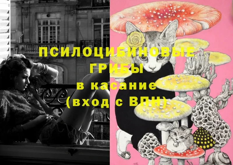 купить закладку  Белая Калитва  OMG ссылка  Галлюциногенные грибы Magic Shrooms 